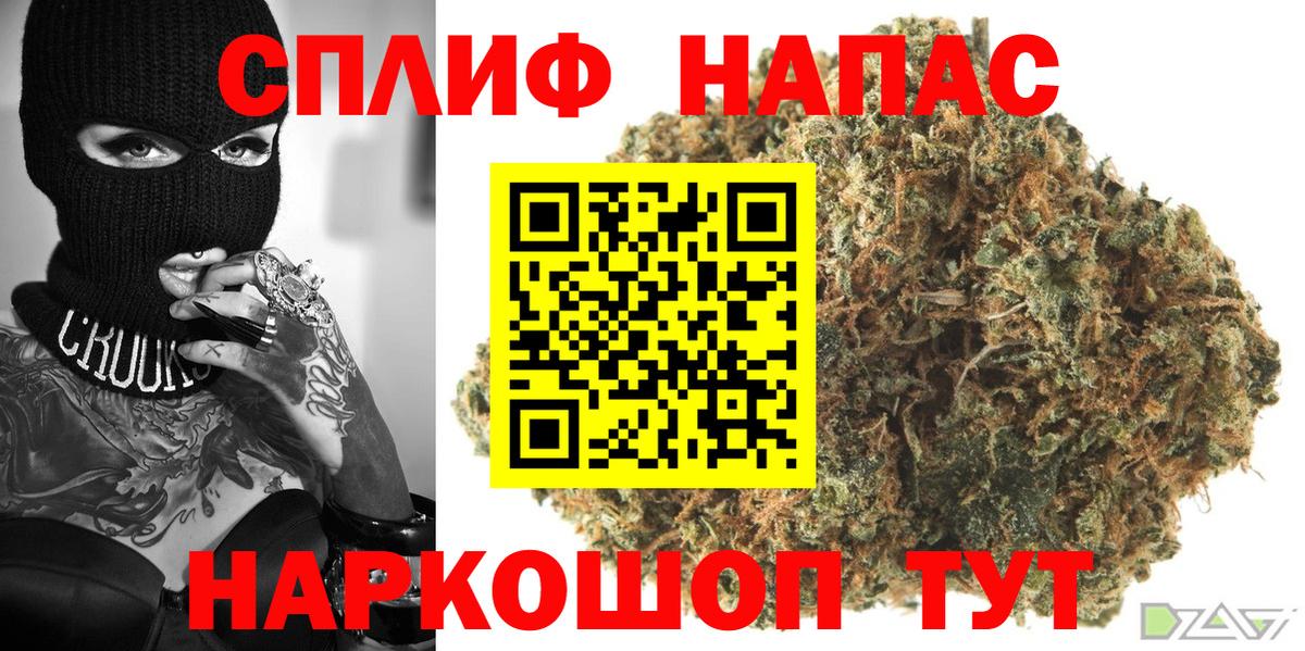 Каннабис ГИДРОПОН Камышин